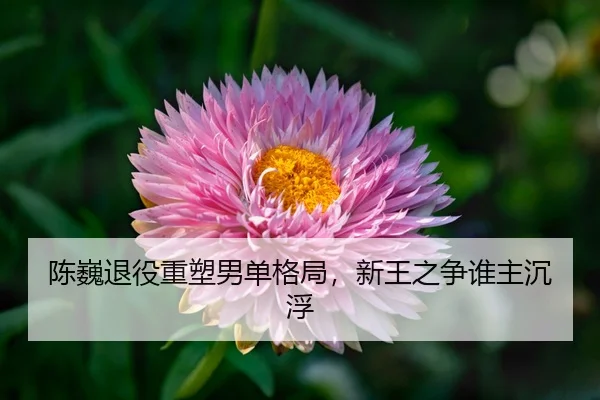 chen-wei-tui-yi-zhong-su-nan-dan-ge-ju-xin-wang-zhi-zheng-shui-zhu-chen-fu-3-242.jpg