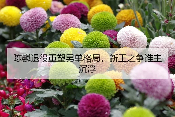 陈巍退役重塑男单格局，新王之争谁主沉浮