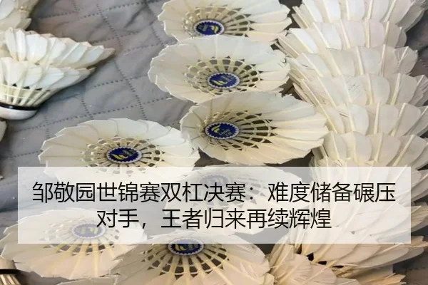 邹敬园世锦赛双杠决赛：难度储备碾压对手，王者归来再续辉煌
