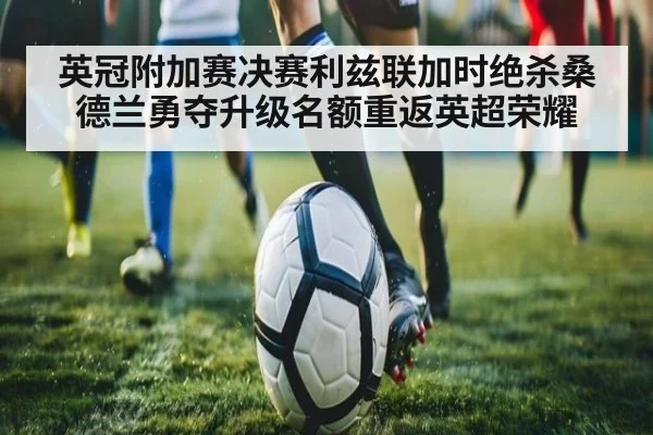 英冠附加赛决赛利兹联加时绝杀桑德兰勇夺升级名额重返英超荣耀